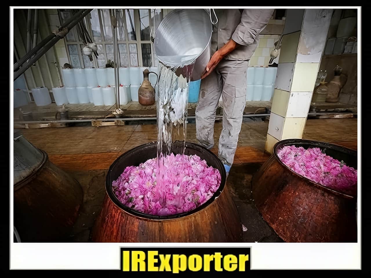 iranian rose water export