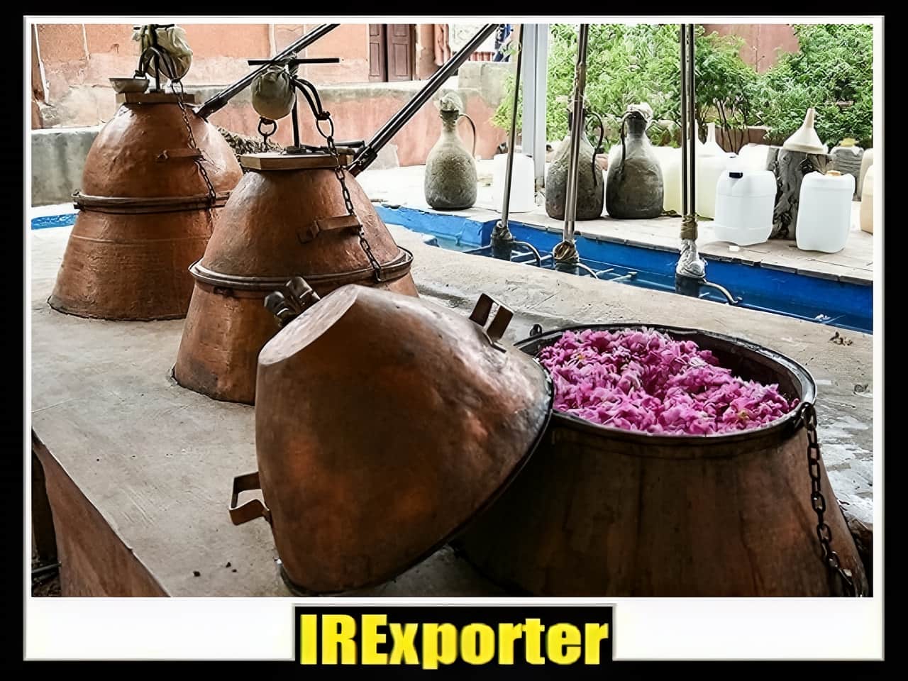 Export rose water sales