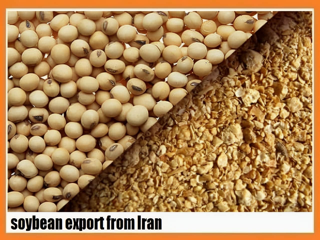 soybean export from Iran