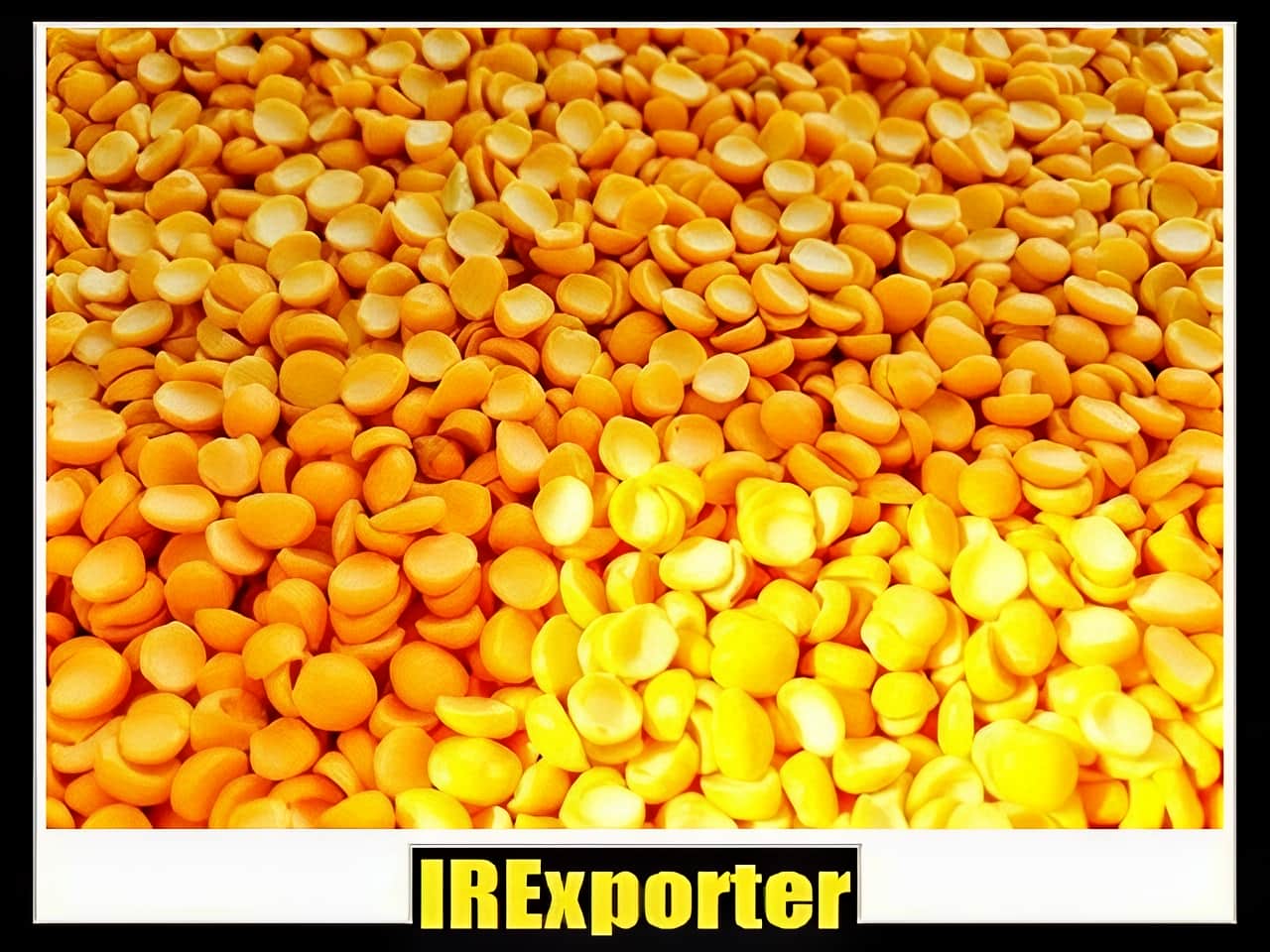 Iran split pea exporter exchange