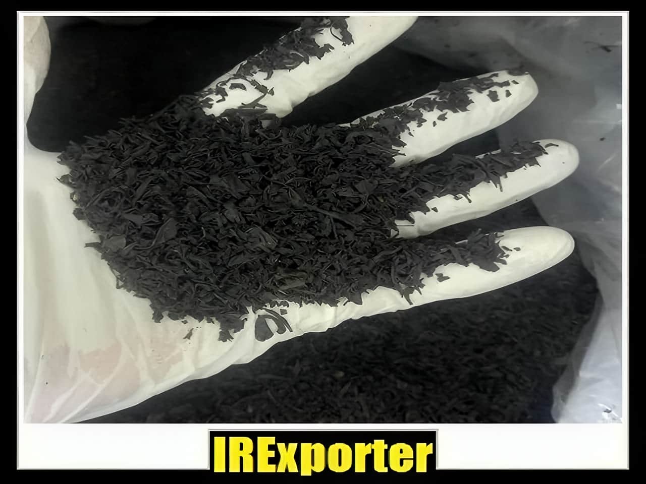 iranian tea exports