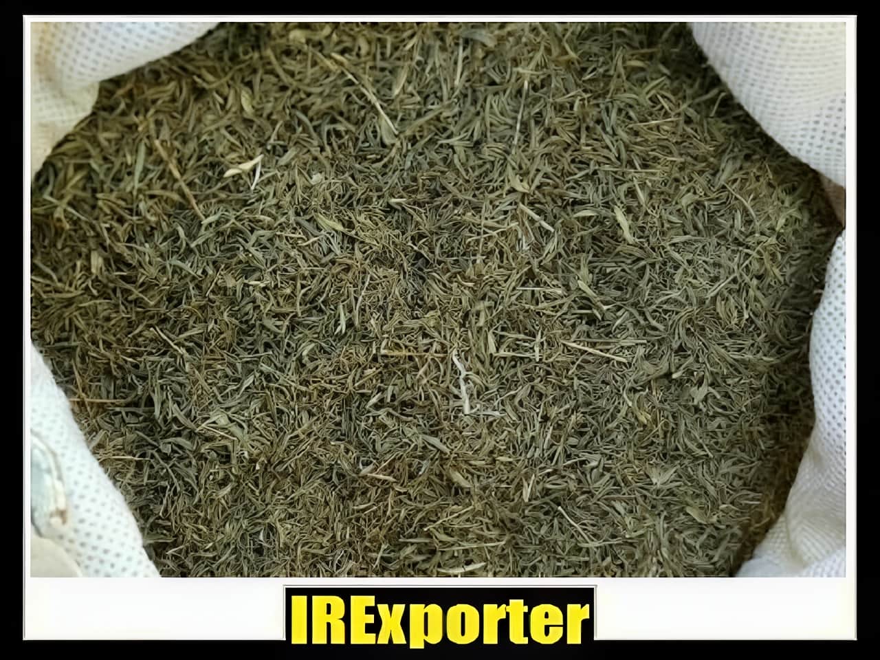 Iran thyme exporter exchange