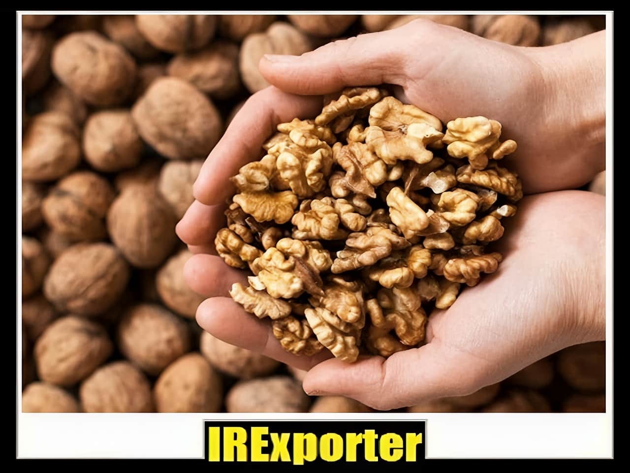 Walnut export from Iran