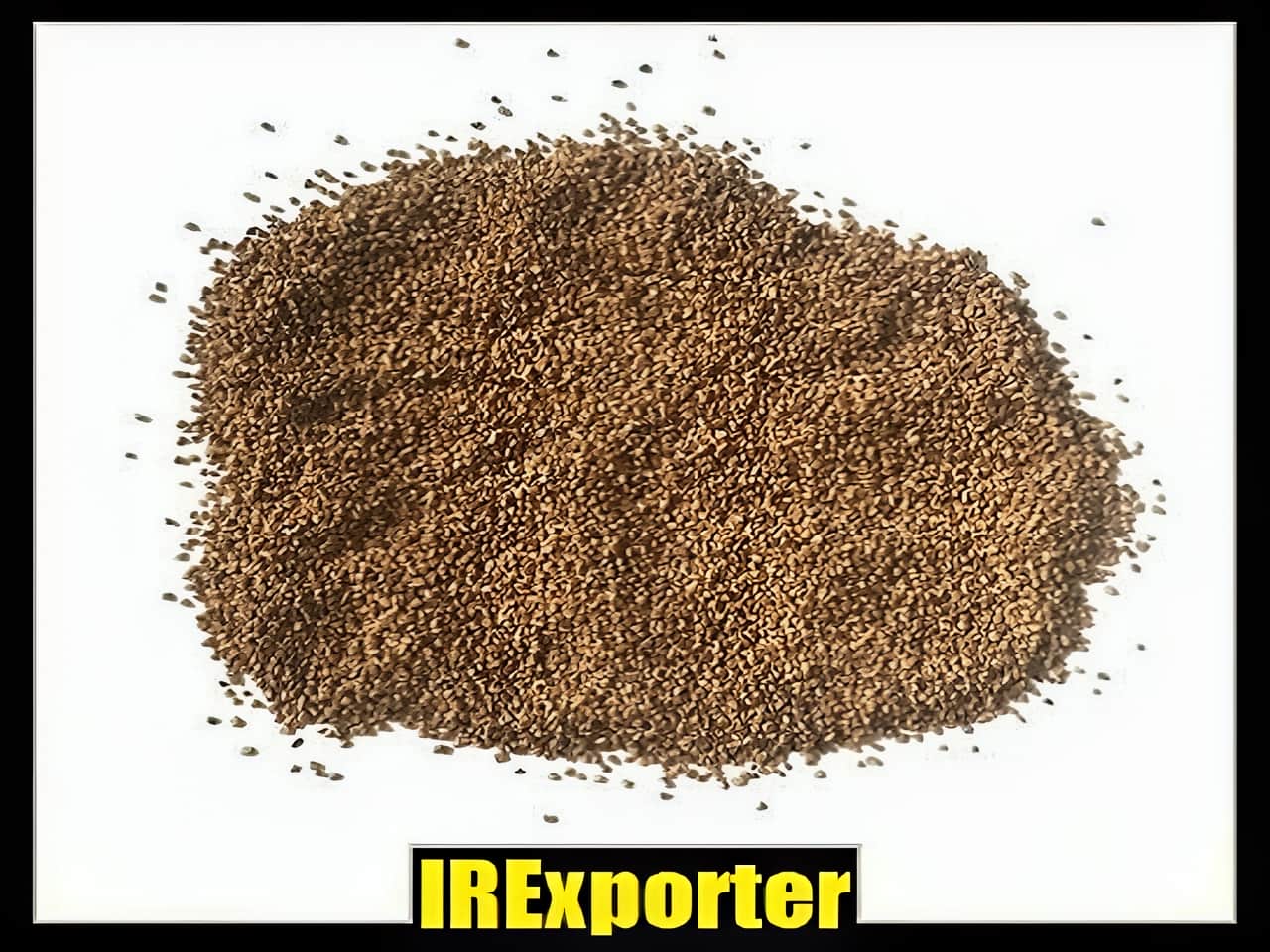 guide for buying export Walnut shell